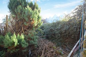 Photo 1- click for photo gallery